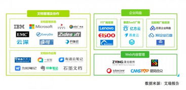 公有云與私有云廠商的競爭態(tài)勢 艾瑞咨詢企業(yè)內(nèi)容管理產(chǎn)業(yè)圖譜解讀