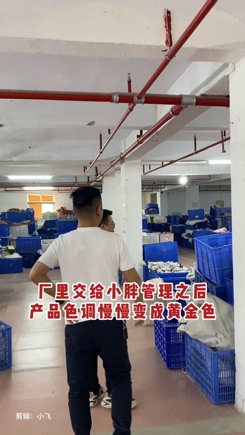 黃金時代 小胖的品牌色彩革命與工廠轉型記