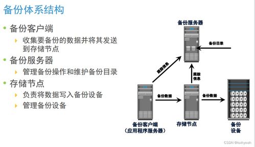 數(shù)據(jù)存儲技術(shù)復習（四） 數(shù)據(jù)處理與存儲服務概覽